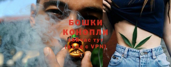 соль ск Лиски