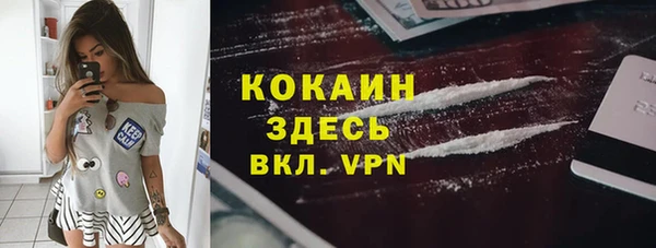 соль ск Лиски